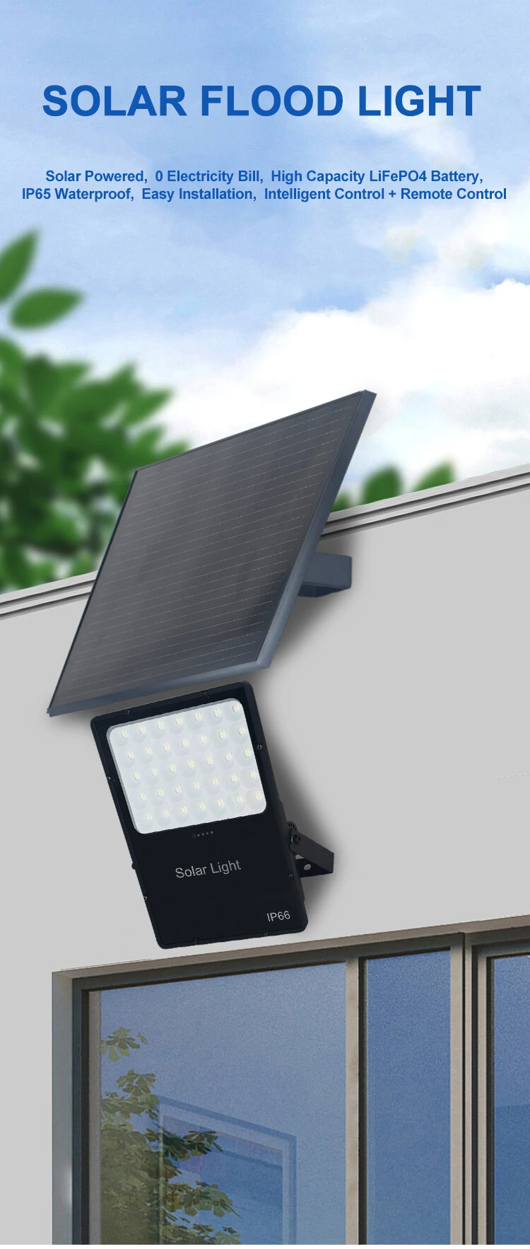 Solar Flood Light detail