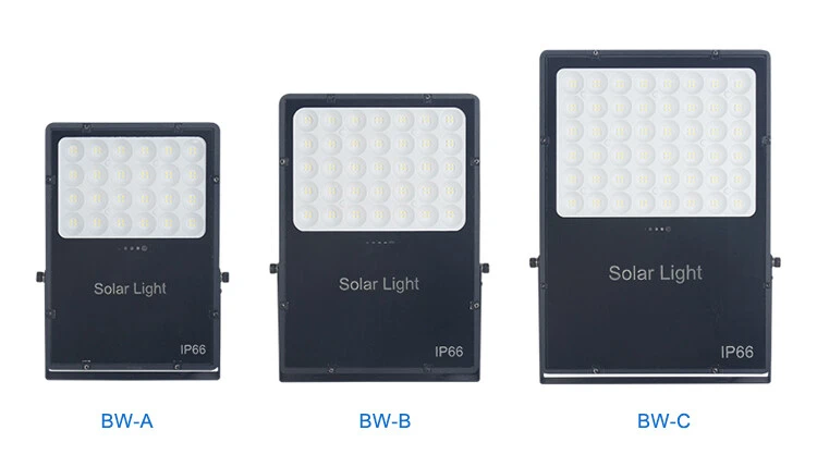 Solar Flood Light detail