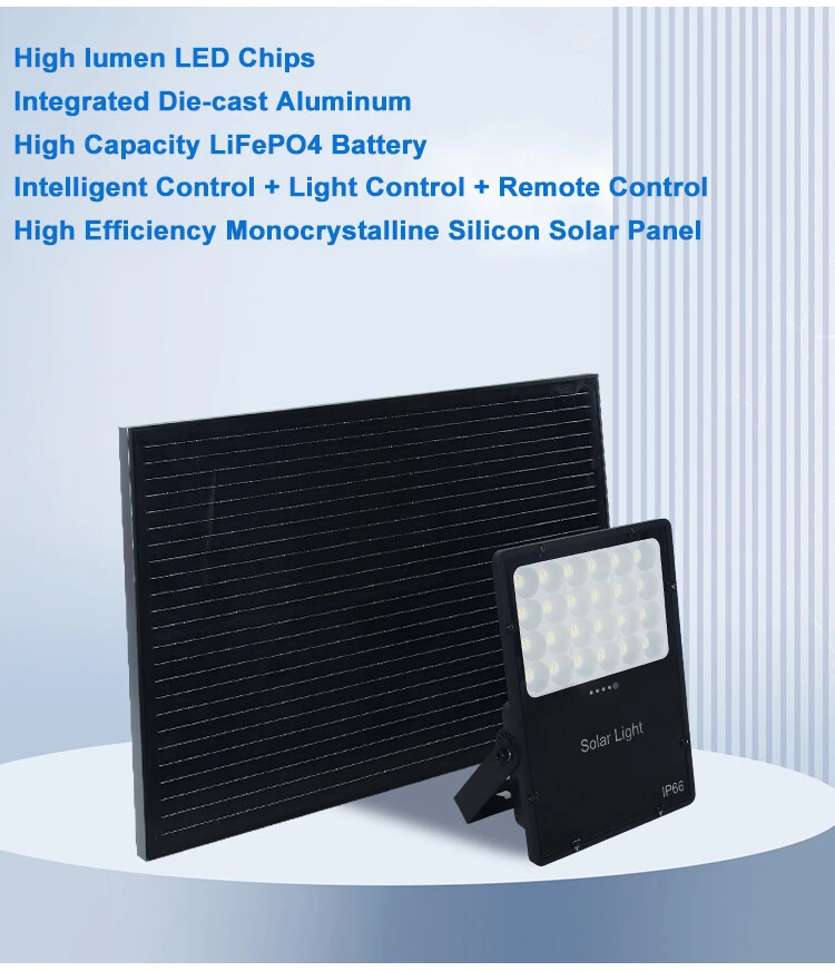 Solar Flood Light detail