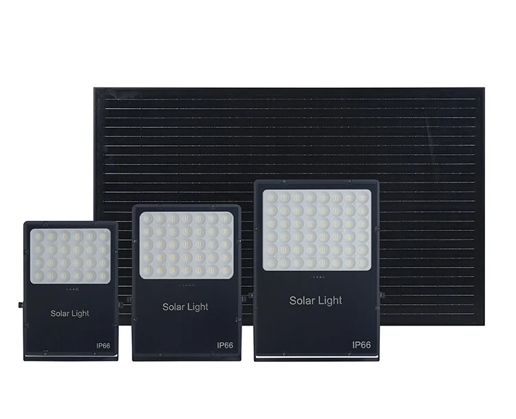 Solar Flood Light detail
