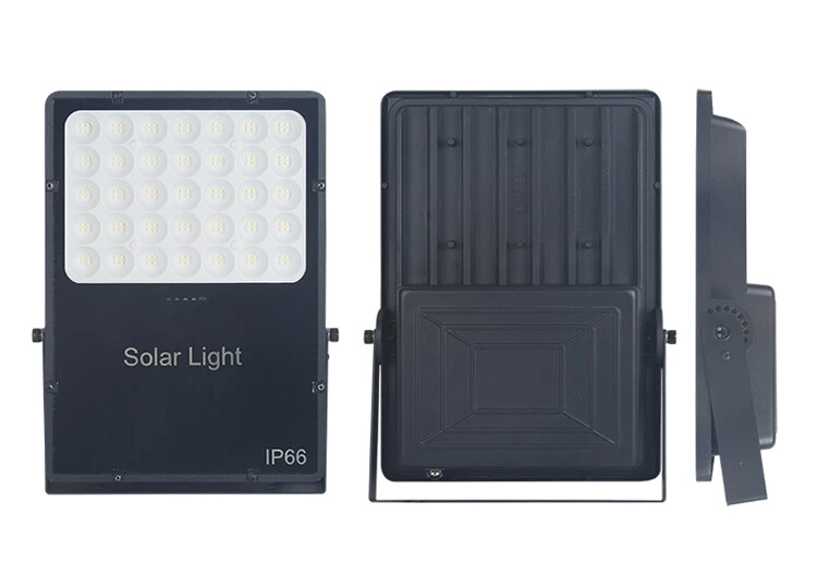 Solar Flood Light detail