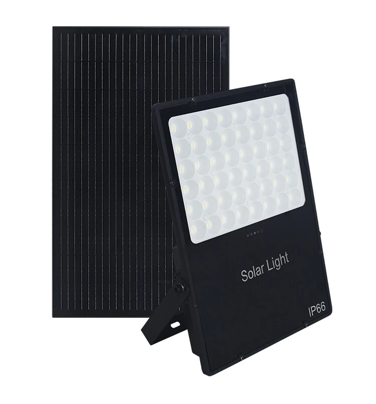 Solar Flood Light detail