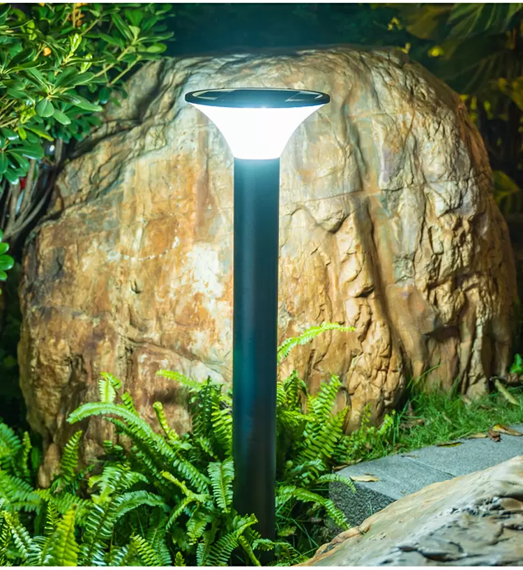 Solar Lawn Light detail