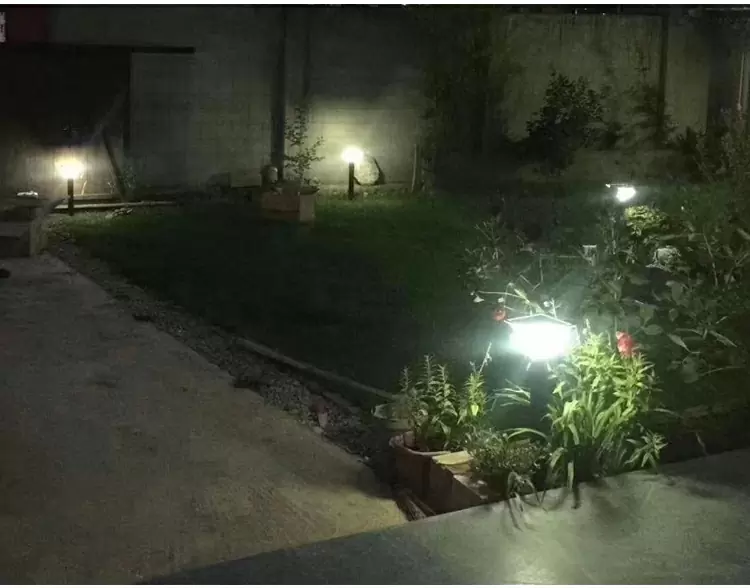 Solar Lawn Light detail