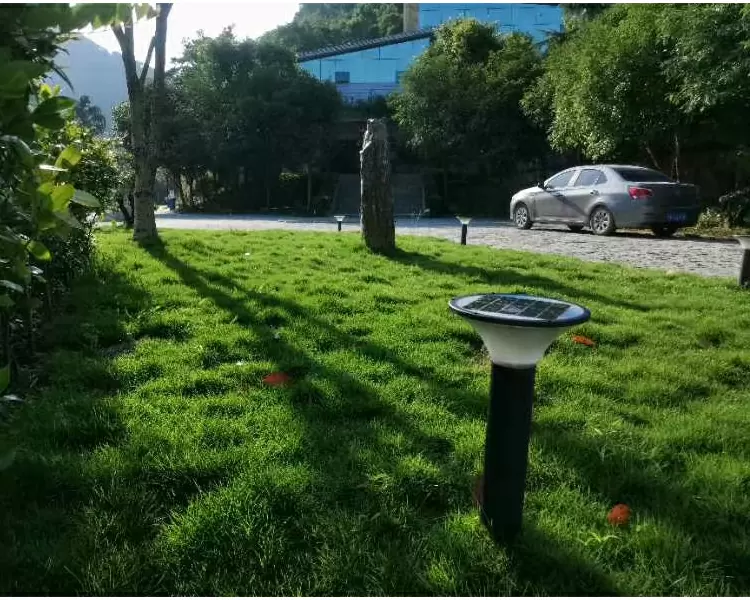 Solar Lawn Light detail