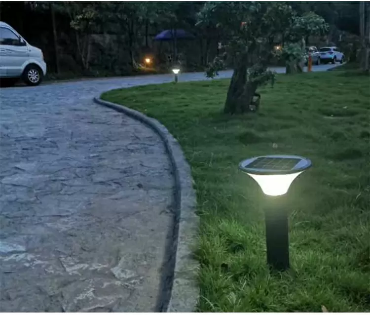 Solar Lawn Light detail