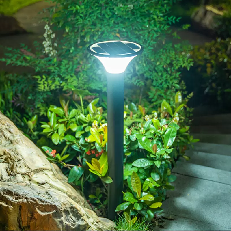 Solar Lawn Light thumbnail 5