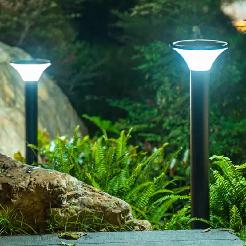 Solar Lawn Light