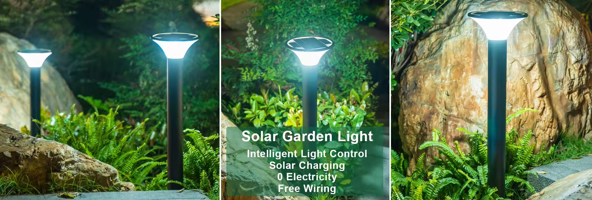 Solar Lighting Solution