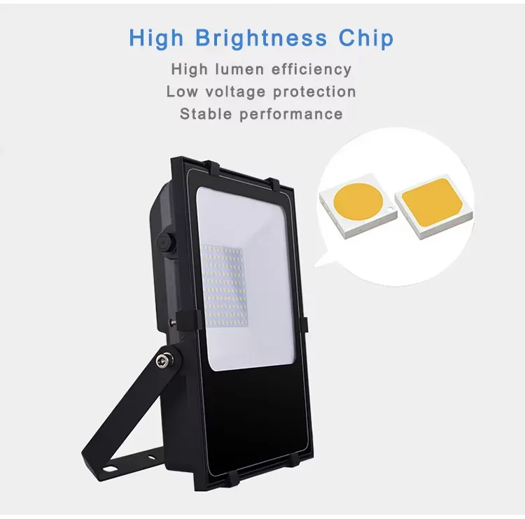 LFL-1 LED flood light detail