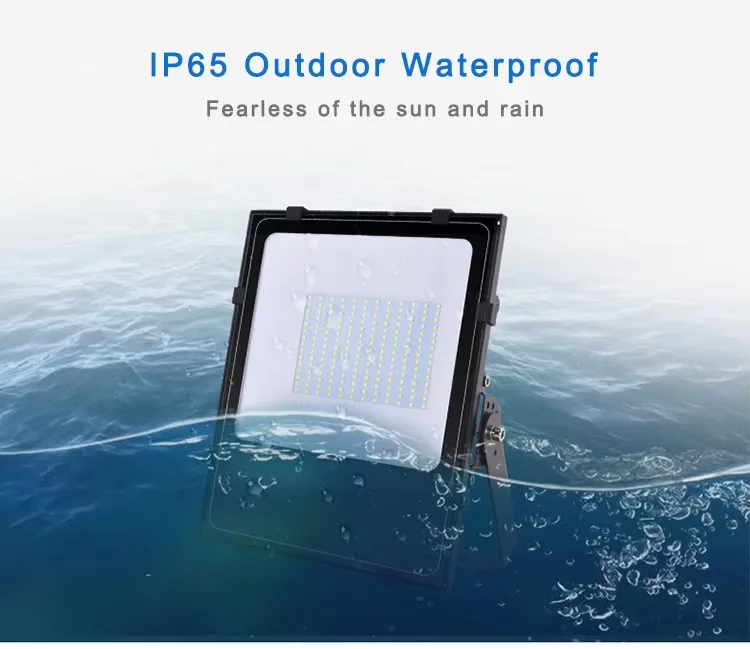 LFL-1 LED flood light detail