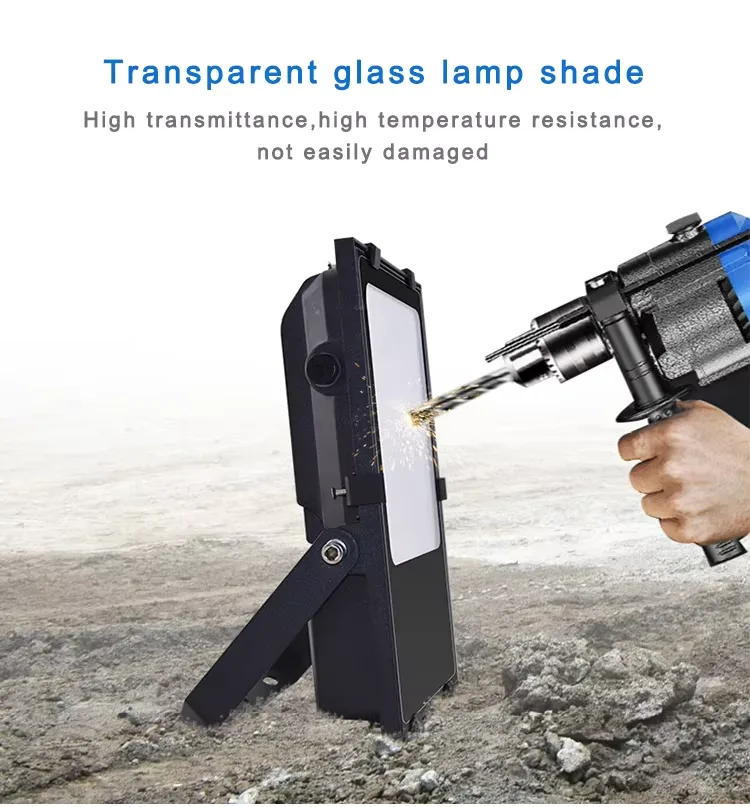 LFL-1 LED flood light detail