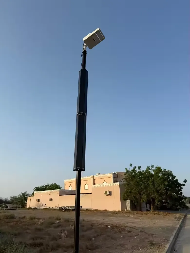 TSP Solar street light detail
