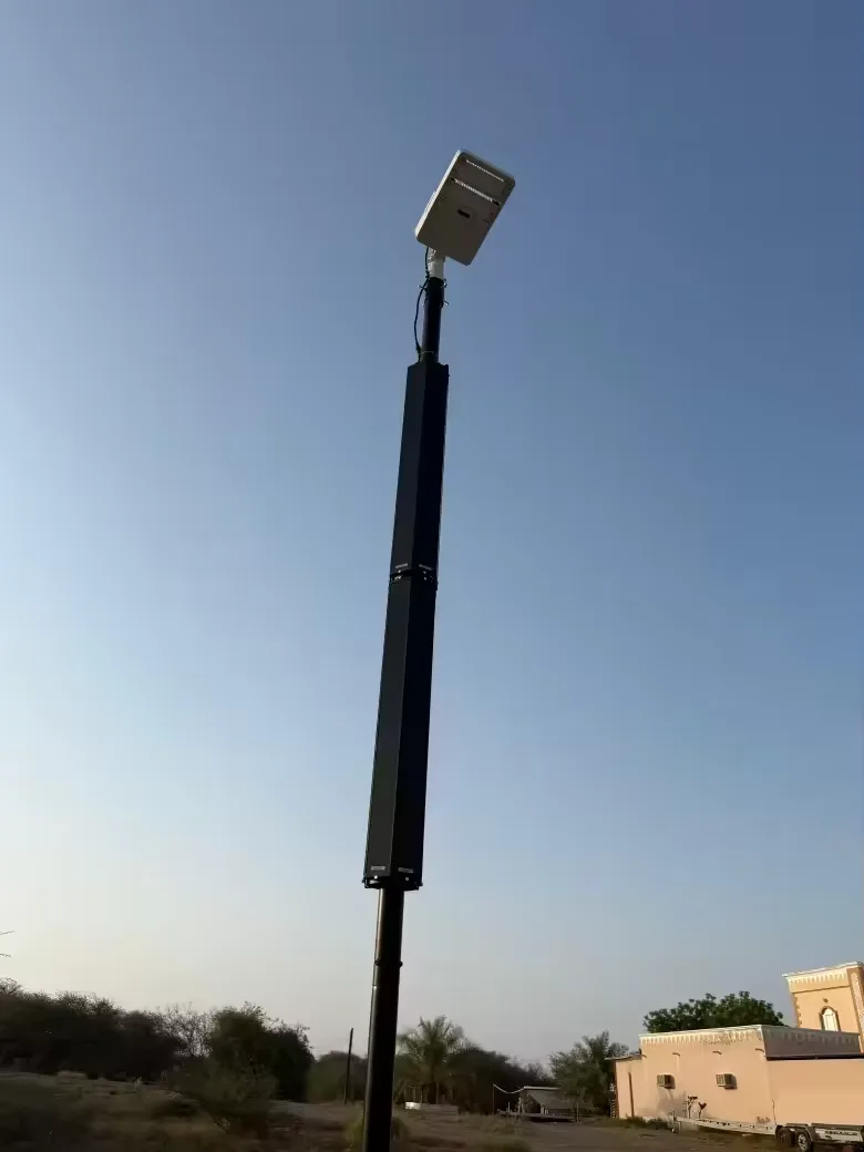 TSP Solar street light detail